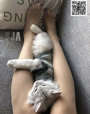明月照尖东_720电影完整版在线观看