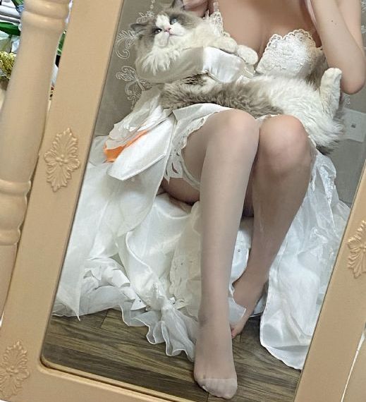 七天探花在线观看_高清全集在线观看